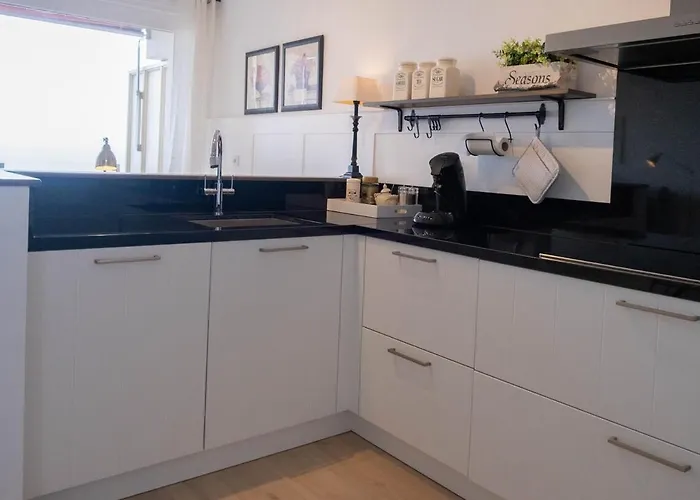 Seaviews Egmond Holiday home