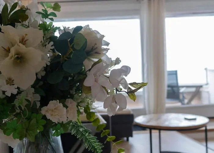 Seaviews Egmond * Egmond aan Zee